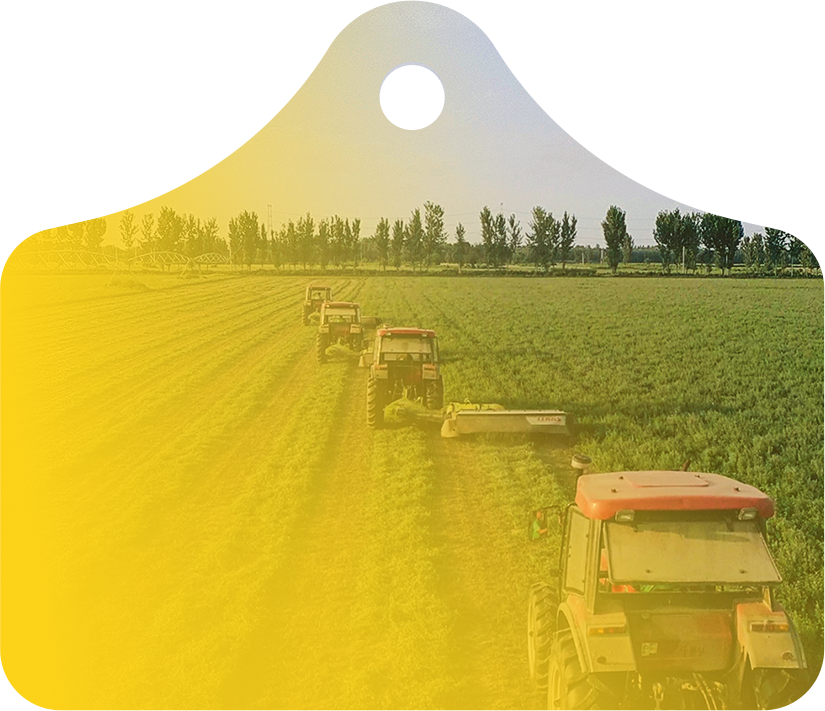 J9���Ρ����й���������Ϸ��һƷ��