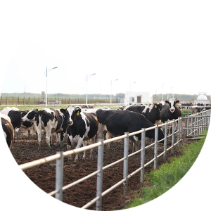 J9���Ρ����й���������Ϸ��һƷ��