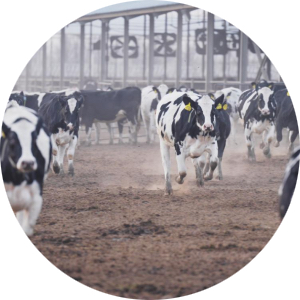 J9���Ρ����й���������Ϸ��һƷ��