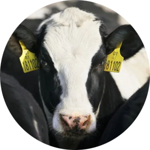 J9���Ρ����й���������Ϸ��һƷ��