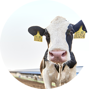 J9���Ρ����й���������Ϸ��һƷ��